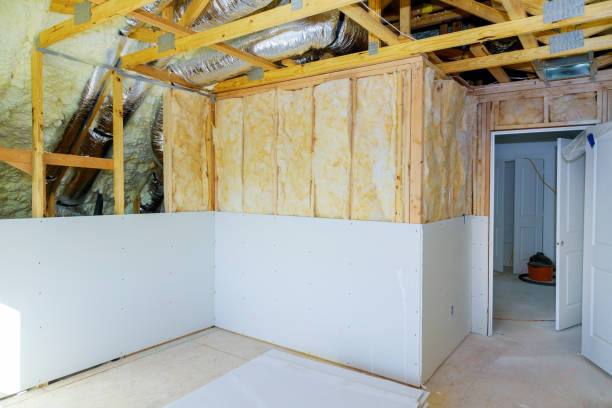 Best DIY Insulation Kits and Guidance in Basehor, KS