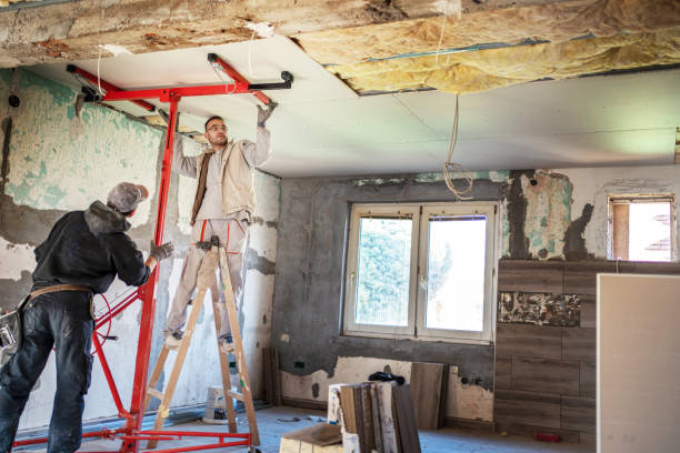 Best Insulation Maintenance and Repair in Basehor, KS