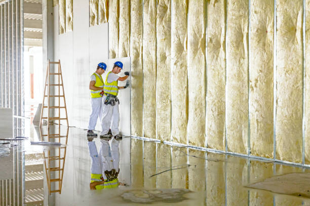 Best Geographic-Specific Insulation Services in Basehor, KS